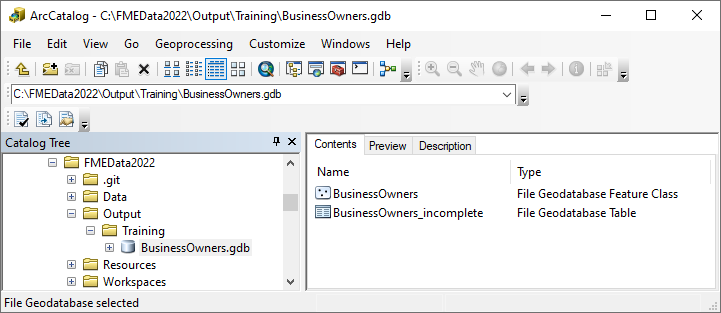 View output in ArcCatalog